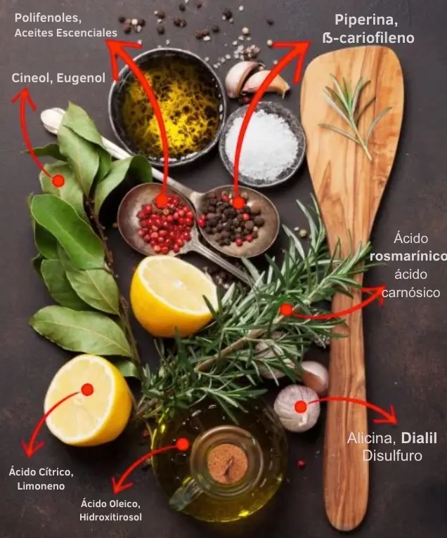 Adultos mayores preparando remedios herbales en casa